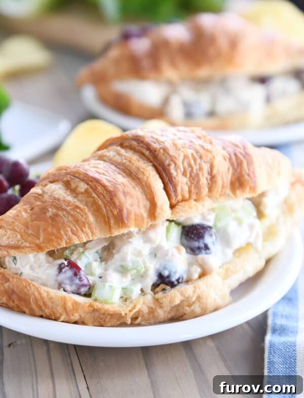 Perfectly prepared chicken salad served on a flaky croissant, ready to be enjoyed.