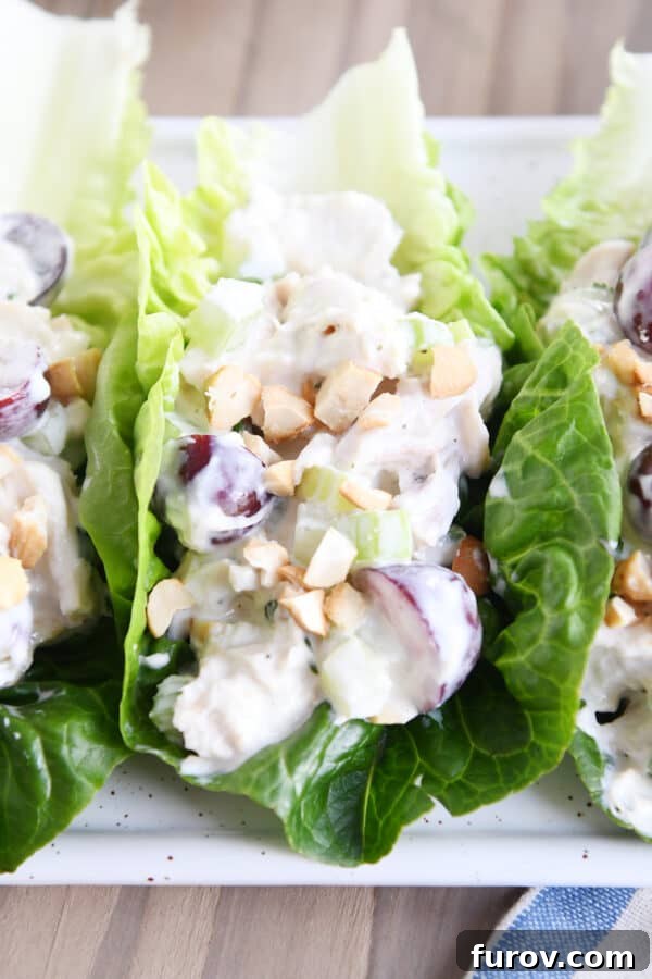 A generous serving of fresh chicken salad elegantly presented on a bed of vibrant lettuce leaves on a pristine white platter, suitable for a gathering.