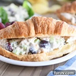 chicken salad on whole croissant on white plate