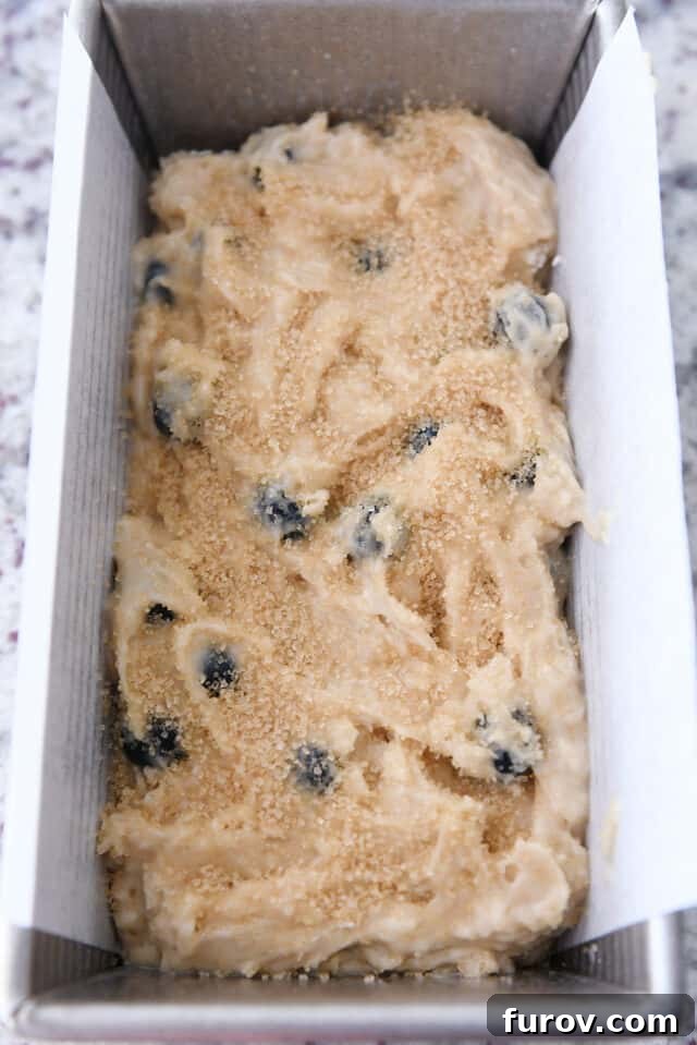 Blueberry muffin bread batter in loaf pan topped generously with coarse sugar.