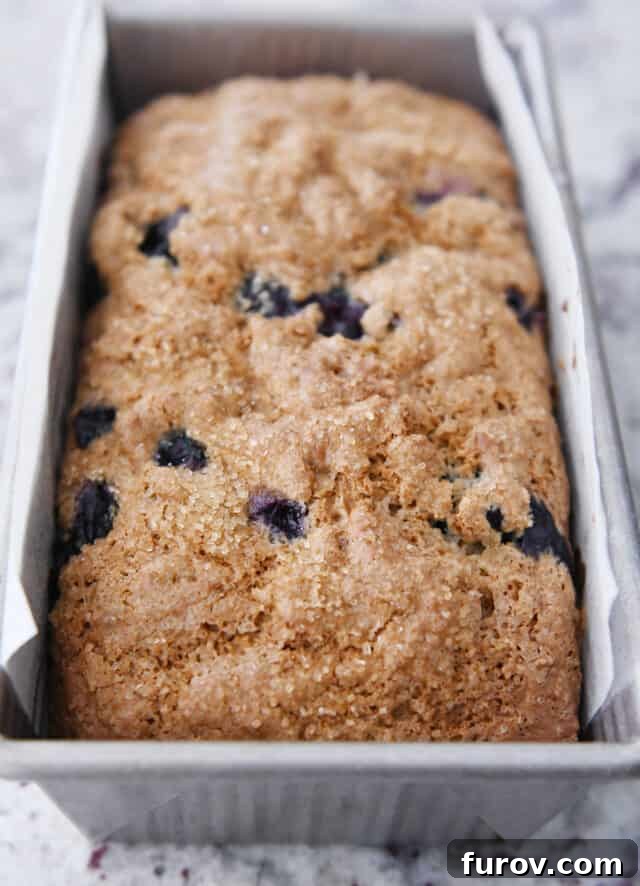 Freshly baked blueberry muffin bread in a loaf pan, displaying its golden-brown crust.