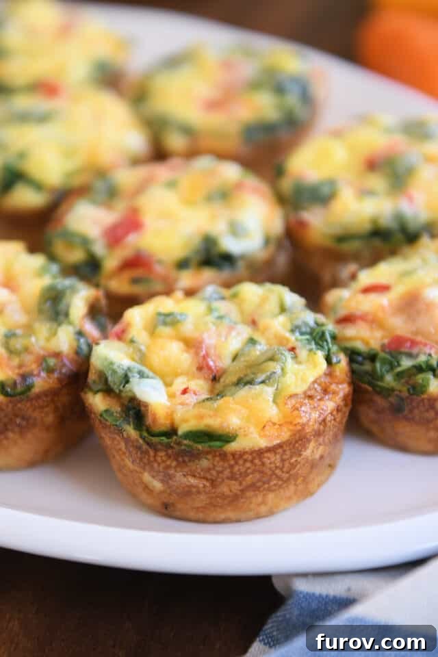 Six golden-brown hash brown veggie egg cups arranged neatly on a pristine white platter, accompanied by a charming blue and white striped napkin.