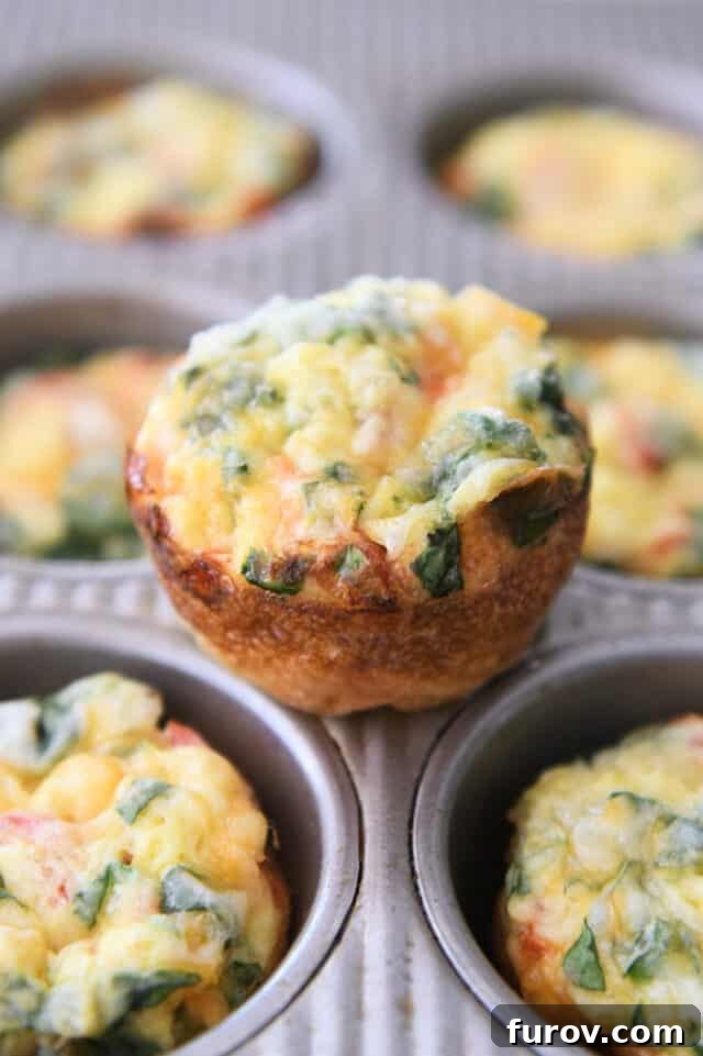 A single baked hash brown veggie egg cup, golden and perfectly formed, resting atop the edge of a muffin tin.