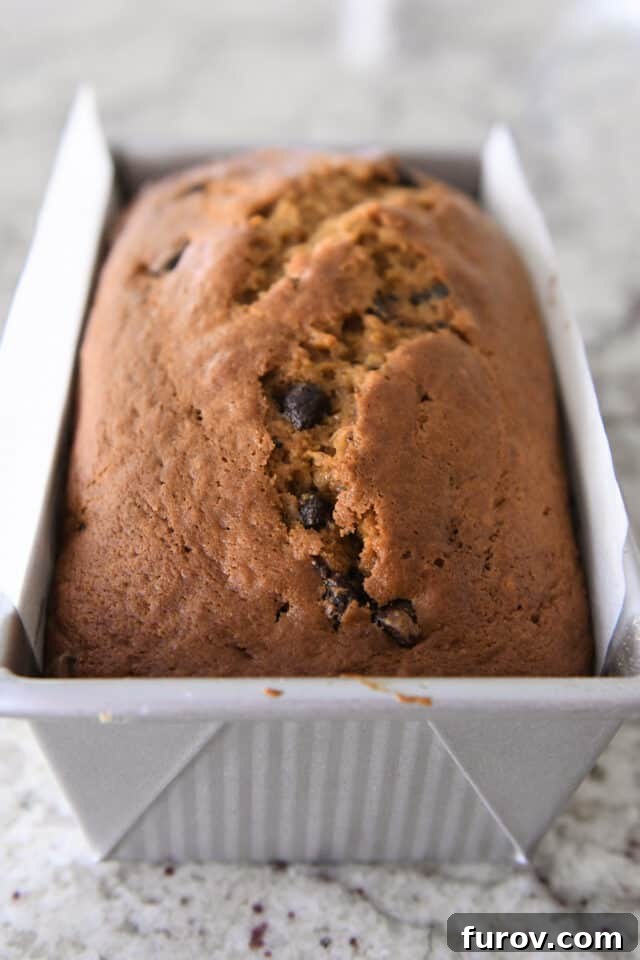 Baked pumpkin bread in silver loaf pan.