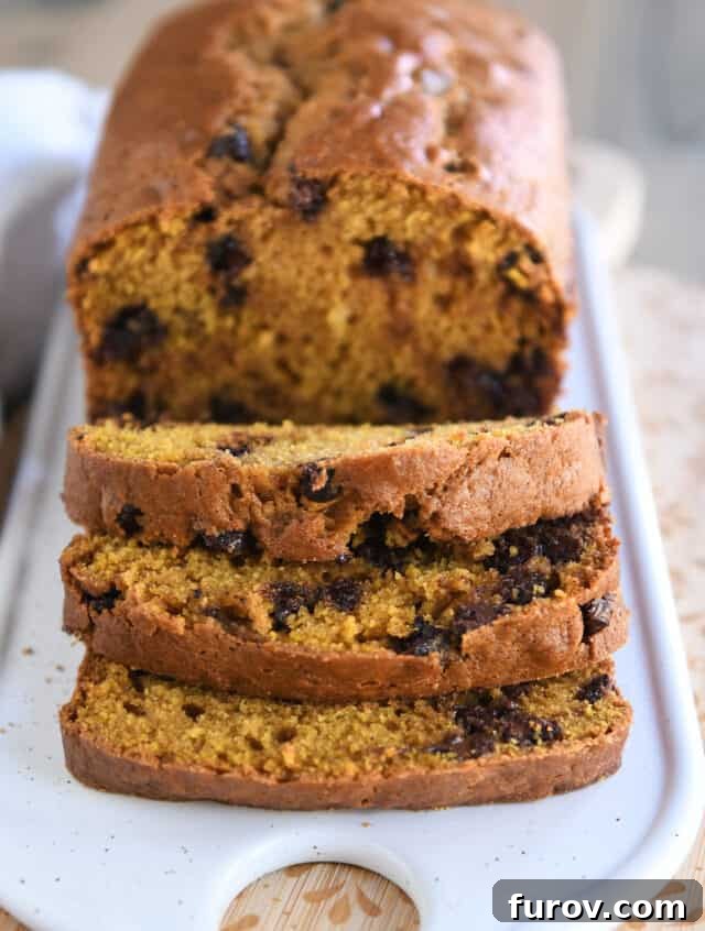 The Best Pumpkin Chocolate Chip Bread