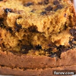 Two half slices of pumpkin chocolate chip bread.