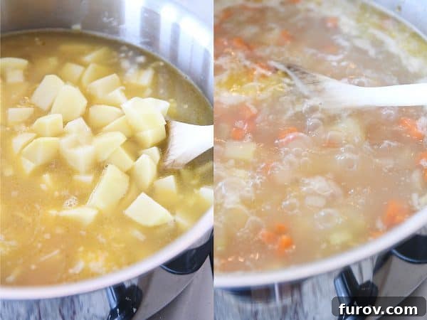Adding potatoes to cream cheese chicken vegetable soup.
