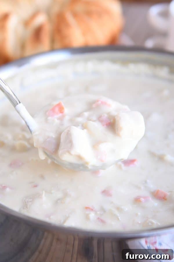 Ladle of cream cheese chicken vegetable soup.