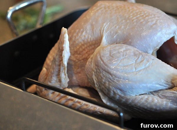 side view and closeup of a raw turkey in a roasting pan