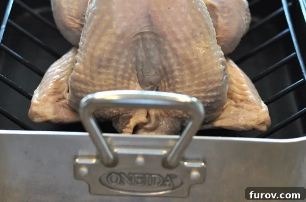 raw turkey with wings tucked in on a roasting pan