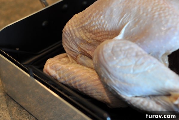 front end of a raw whole turkey in a roasting pan