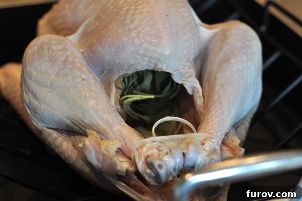 a raw turkey in a roasting pan stuffed with herbs