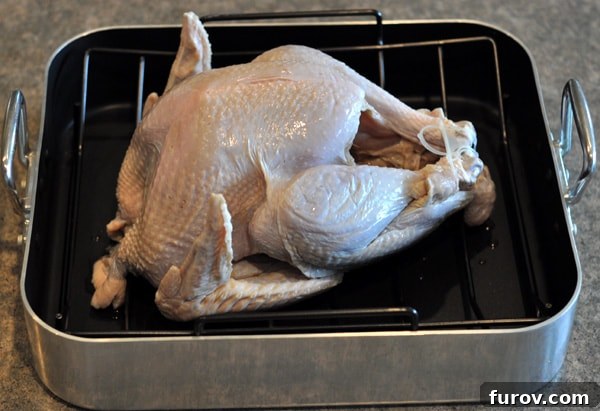 raw whole turkey in a roasting pan