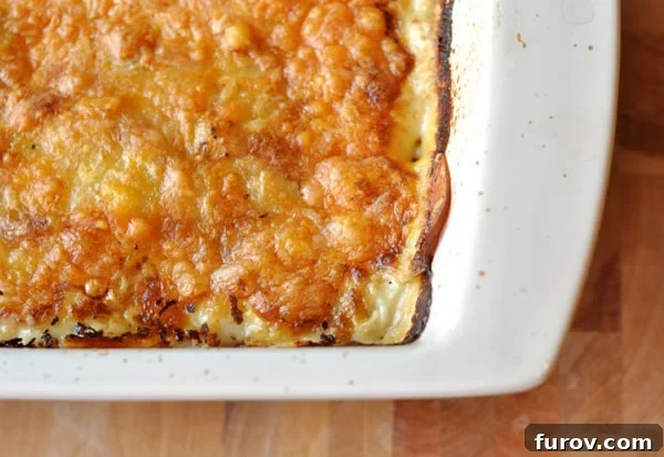 Golden brown cheesy au gratin potatoes in a white casserole dish, fresh from the oven, with cheese bubbling.
