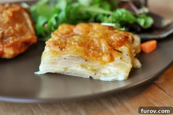 A perfectly portioned serving of cheesy au gratin potatoes on a brown plate, garnished with fresh lettuce.