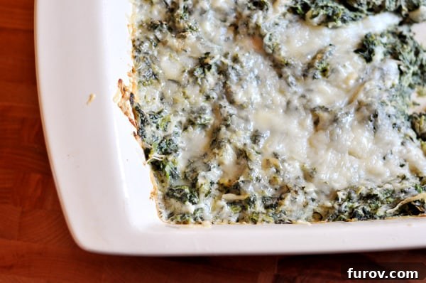 A white casserole dish filled with bubbling, golden-crusted creamy spinach gratin, fresh out of the oven.