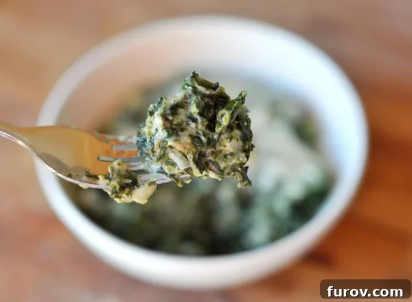 A fork lifts a generous serving of creamy spinach gratin from a white bowl, showcasing its rich texture and cheesy goodness.