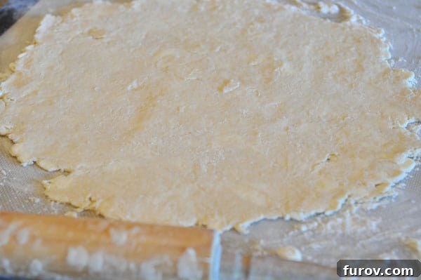 rolled out pie crust, showing subtle butter pockets.