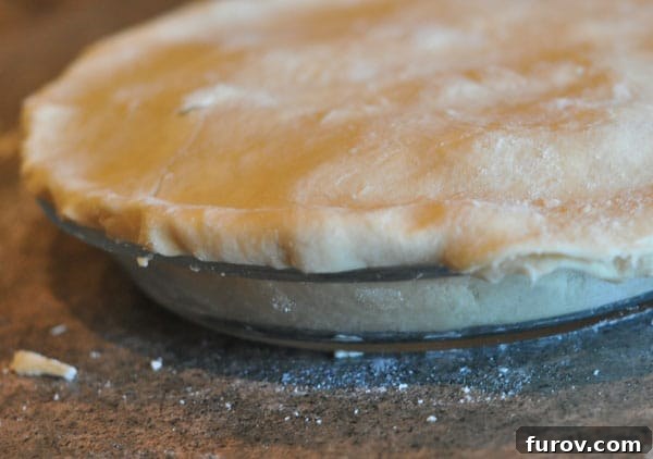 unbaked pie with double crust, edges sealed.