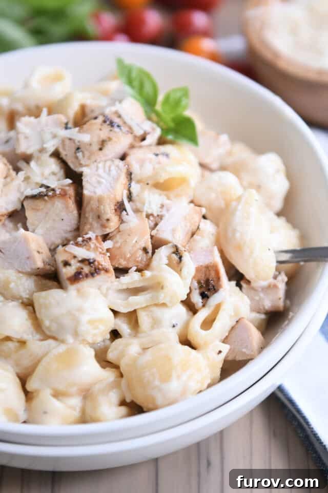 Succulent grilled chicken generously arranged atop a bed of creamy Instant Pot Pasta Alfredo shells, served in an inviting white bowl.