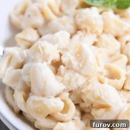 spoon scooping up pasta shells in creamy alfredo sauce in white bowl