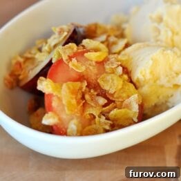 Roasted Fruit with Streusel Topping in a bowl with ice cream.