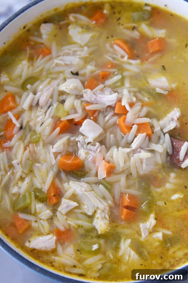 Sunshine Lemon Chicken Orzo Soup 5 A robust cast iron pot, brimming with simmering lemon chicken orzo soup, ready to be served.