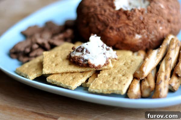 A beautifully presented cocoa-dusted chocolate chip cheeseball on a blue plate, surrounded by an assortment of crisp graham crackers and crunchy pretzel sticks, ready for serving.