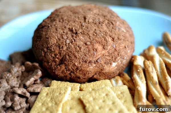 A close-up view of the cocoa-dusted chocolate chip cheeseball, showcasing its rich texture and the mini chocolate chips embedded within, presented alongside graham crackers and pretzels.
