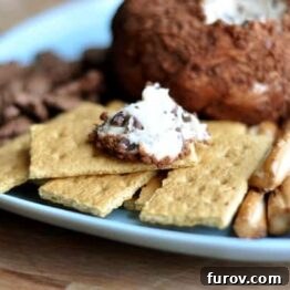 A cocoa-dusted chocolate chip cheeseball ready to be served with crackers and pretzels.