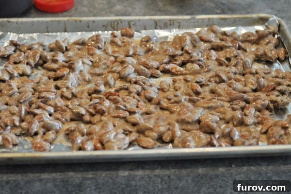 Candy-coated almonds evenly spread out on a tinfoil-lined cookie sheet, ready to be placed in the oven.