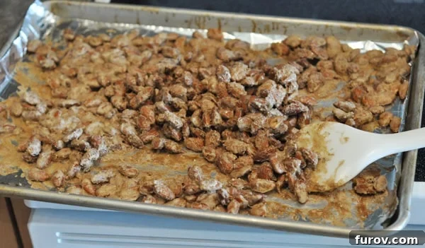 Candied almonds on a cookie sheet after baking for 45 minutes, now golden brown and much drier.