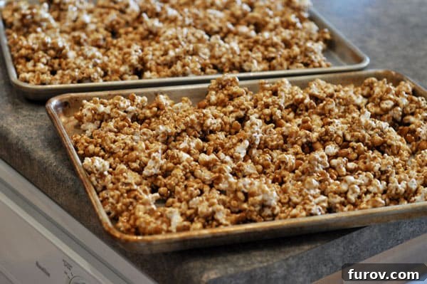 Two cookie sheets laden with evenly spread, caramel-coated popcorn, ready to be baked to a golden crisp.