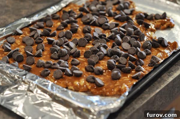 Chocolate chips are generously sprinkled over the hot almond roca, which is laid out on a foil-lined cookie sheet, ready to melt.