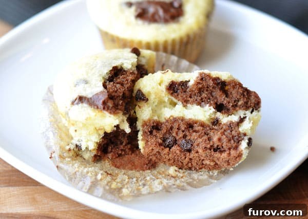A perfectly split chocolate orange swirl muffin showcasing its fluffy interior with ribbons of chocolate and orange batter, studded with mini chocolate chips.
