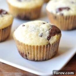 Delicious chocolate orange swirl muffins on a white platter, inviting you to bake.