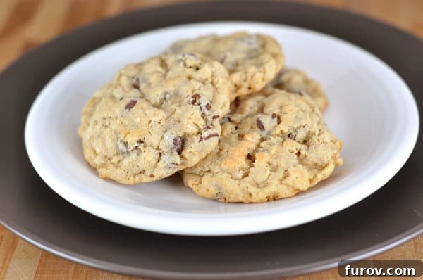 White plate with three perfectly baked Rocky Mountain Cookies, showcasing their golden-brown edges and visible chocolate chips.