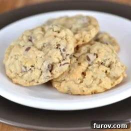A delicious Rocky Mountain Cookie, full of oats, chocolate chips, and crisp rice cereal.