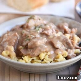 Bowl of slow cooker beef stroganoff over spaetzle.