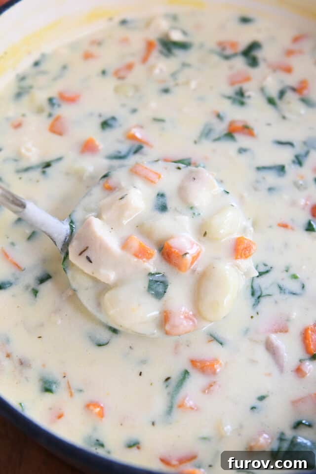 The Ultimate Creamy Chicken Gnocchi Soup 6 A ladle scoops a generous portion of creamy chicken gnocchi soup from a large blue pot, highlighting its thick texture.