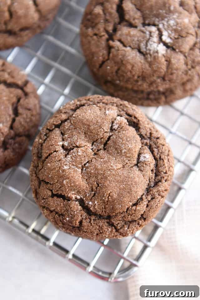 Chewy chocolate ginger molasses cookie on wire cooling rack, showcasing its crinkly top and rich color. A perfect holiday treat.