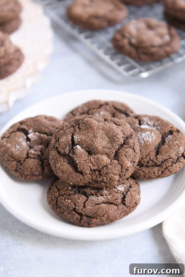 Five soft and chewy chocolate ginger molasses cookies arranged on a white plate, ready to be enjoyed.