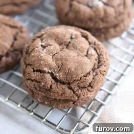 Two chocolate ginger molasses cookies stacked on a cooling rack, glistening with sugar.