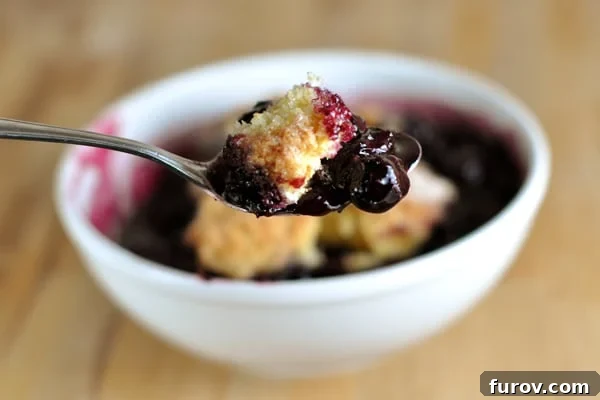 A white bowl of classic blueberry cobbler with a spoon holding a bite, showcasing the tender biscuit and fruity filling.