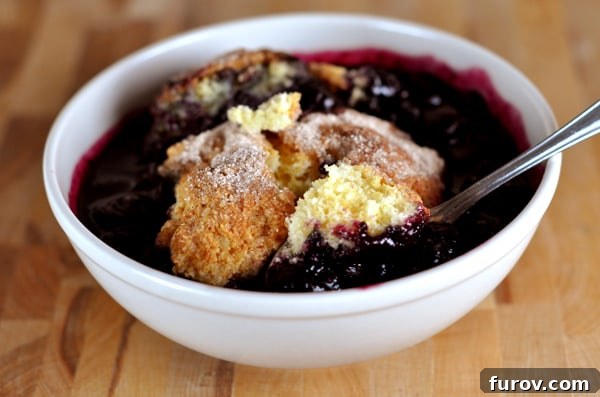 A full white bowl of delicious classic blueberry cobbler, ready to be served.