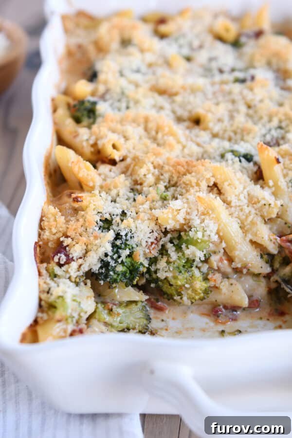 Hearty Chicken and Broccoli Penne Bake with Smoked Mozzarella 2 Golden-baked penne casserole with crispy breadcrumbs, chicken, broccoli, and smoked mozzarella, served in a white baking dish.