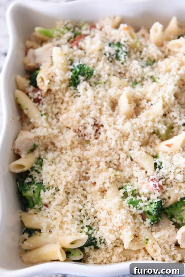 Hearty Chicken and Broccoli Penne Bake with Smoked Mozzarella 6 Unbaked penne pasta casserole, topped with buttery breadcrumbs, nestled in a white baking dish, ready for the oven.