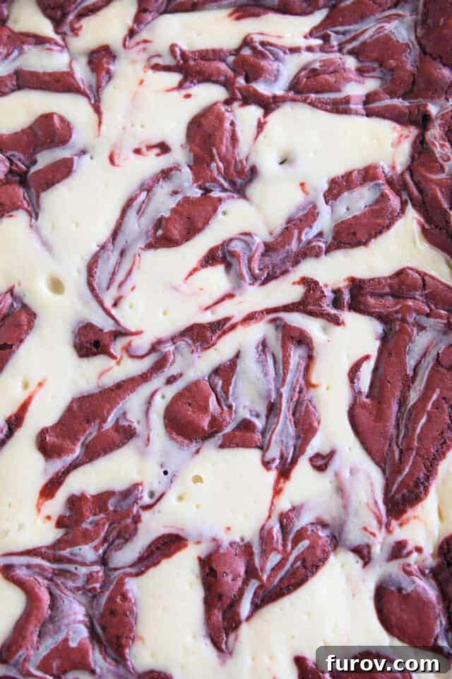 Marbled top of cheesecake brownies.