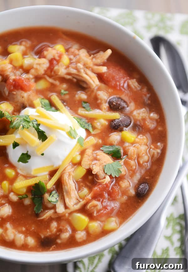 Hearty Southwestern Chicken Barley Chili 2 Top view of chicken barley chili topped with sour cream and cheddar cheese. A perfect bowl for any season.