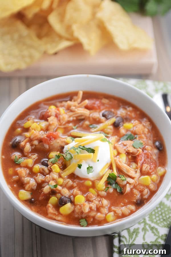 Hearty Southwestern Chicken Barley Chili 4 Top view of a white bowl full of southwestern chicken and barley chili, ready to be served.